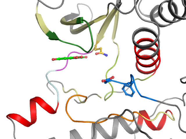The orthosteric binding pocket