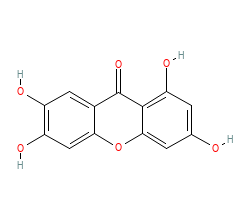 2D structure of the orthosteric ligand