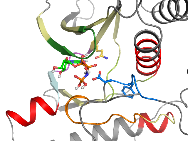The orthosteric binding pocket