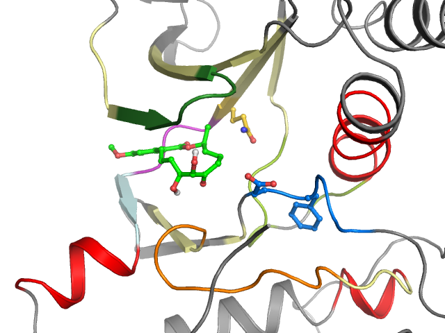The orthosteric binding pocket