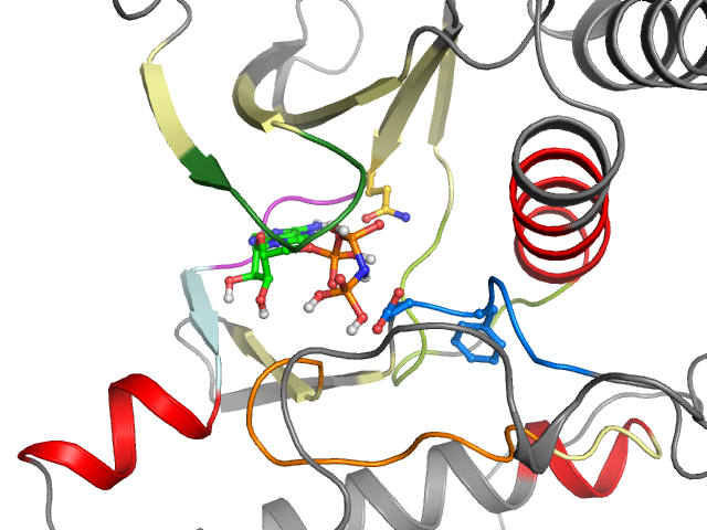 The orthosteric binding pocket
