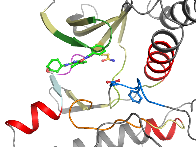The orthosteric binding pocket