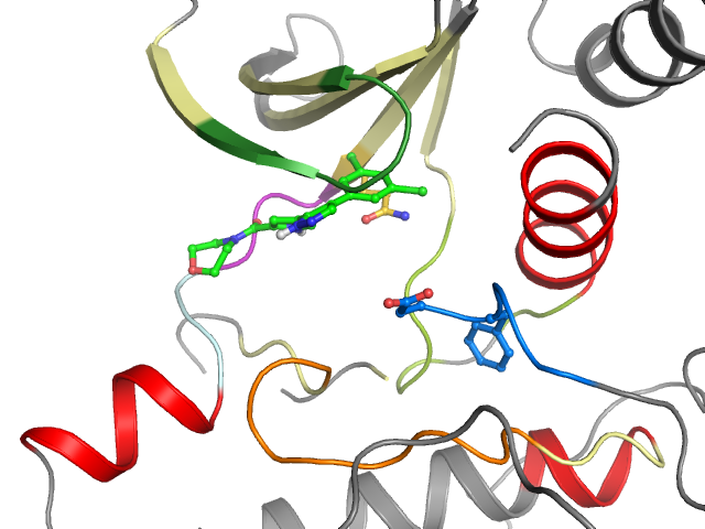 The orthosteric binding pocket
