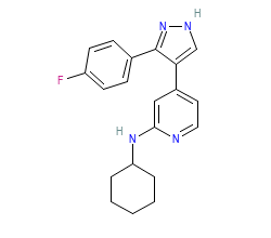 2D structure of the orthosteric ligand