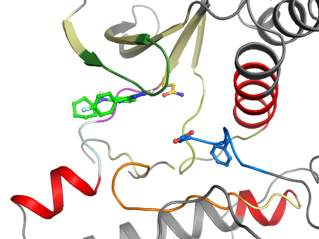 The orthosteric binding pocket