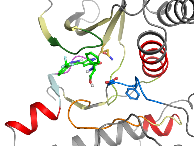 The orthosteric binding pocket
