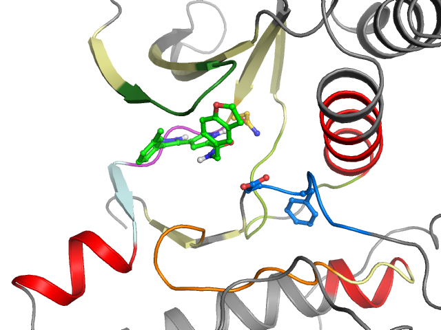 The orthosteric binding pocket