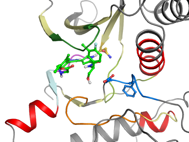 The orthosteric binding pocket