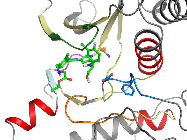 The orthosteric binding pocket