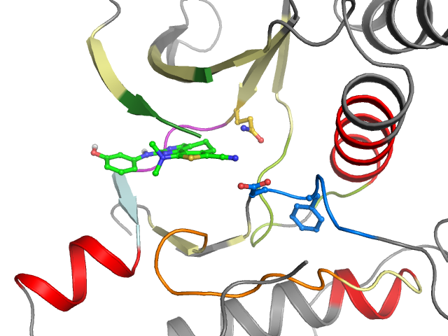 The orthosteric binding pocket