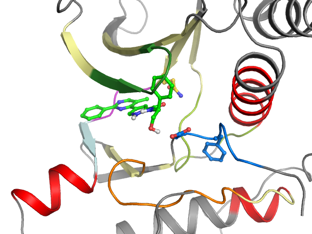 The orthosteric binding pocket