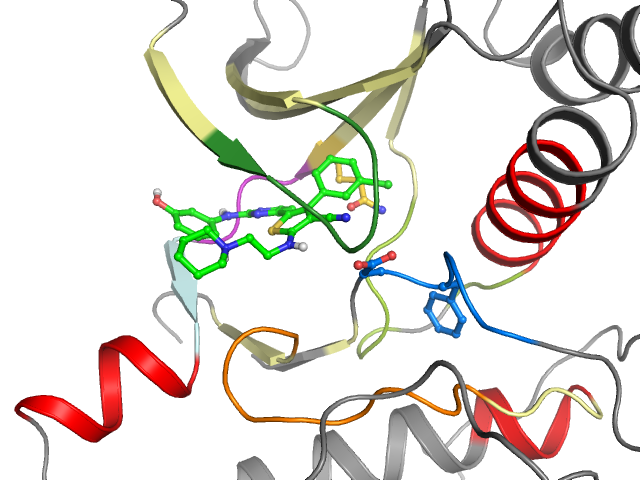 The orthosteric binding pocket