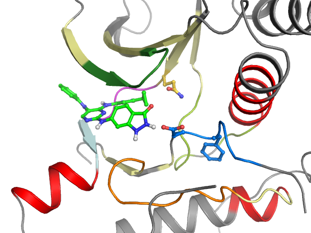 The orthosteric binding pocket