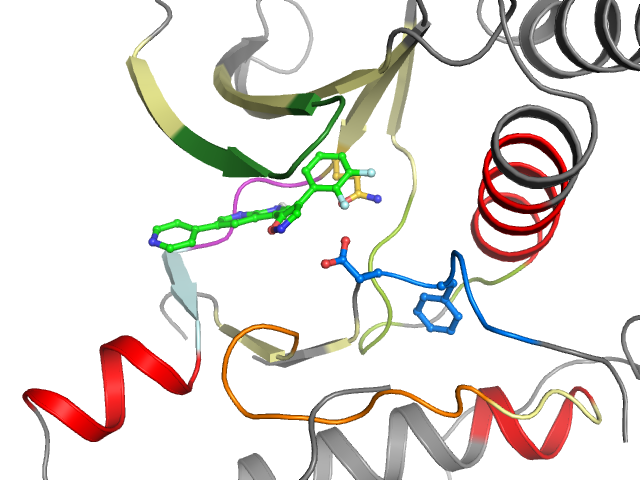 The orthosteric binding pocket