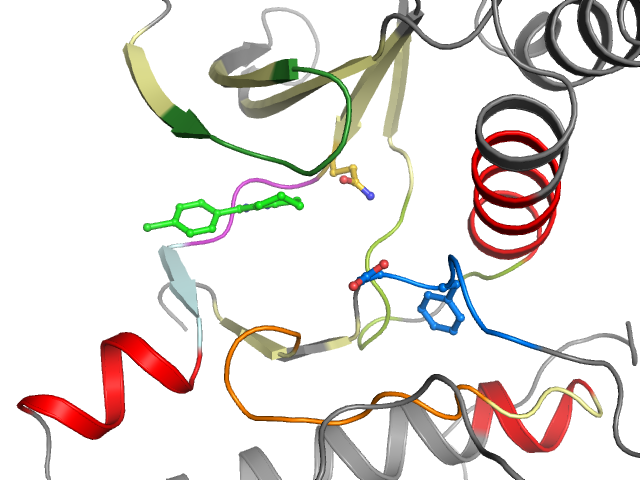 The orthosteric binding pocket