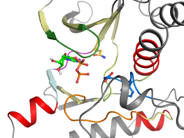 The orthosteric binding pocket