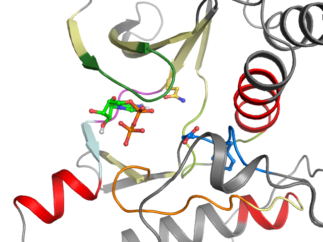 The orthosteric binding pocket