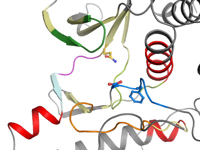 The orthosteric binding pocket