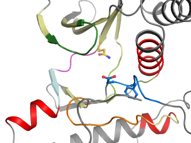 The orthosteric binding pocket