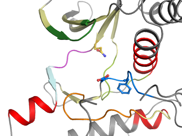 The orthosteric binding pocket