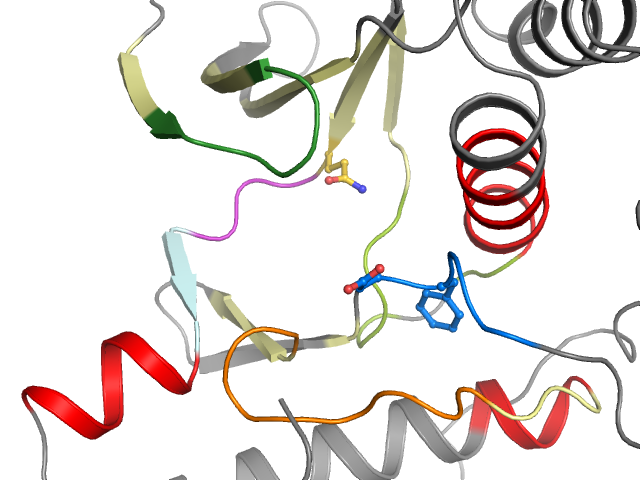 The orthosteric binding pocket