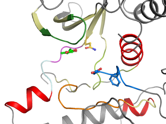 The orthosteric binding pocket