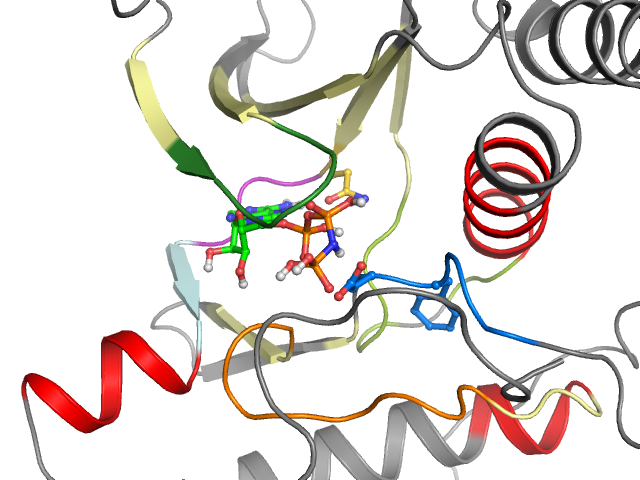 The orthosteric binding pocket