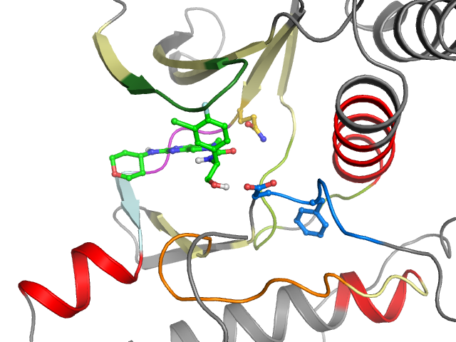 The orthosteric binding pocket