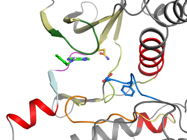 The orthosteric binding pocket