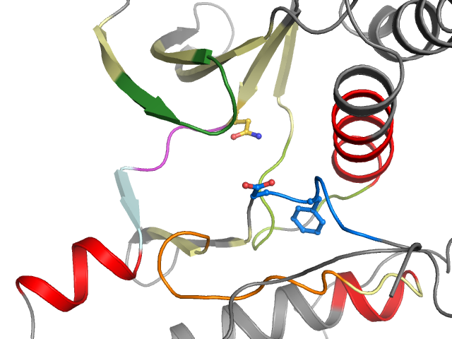 The orthosteric binding pocket