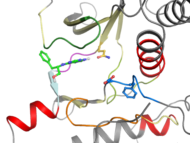 The orthosteric binding pocket