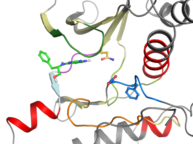 The orthosteric binding pocket