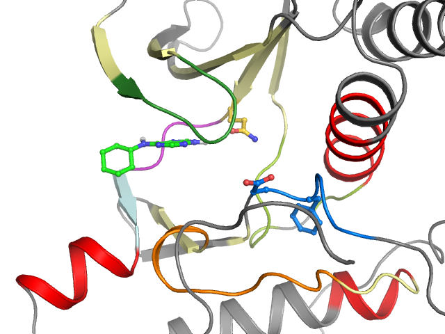 The orthosteric binding pocket