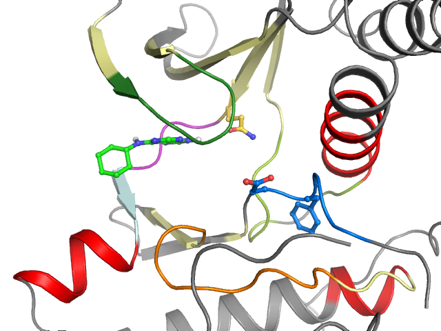 The orthosteric binding pocket