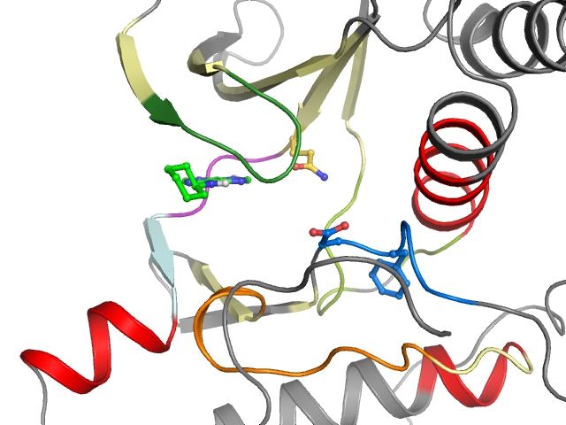 The orthosteric binding pocket