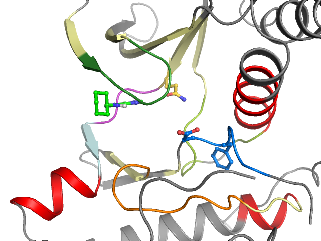 The orthosteric binding pocket
