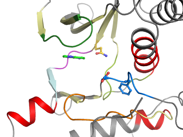 The orthosteric binding pocket