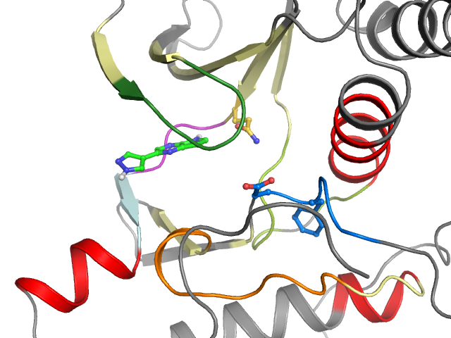 The orthosteric binding pocket