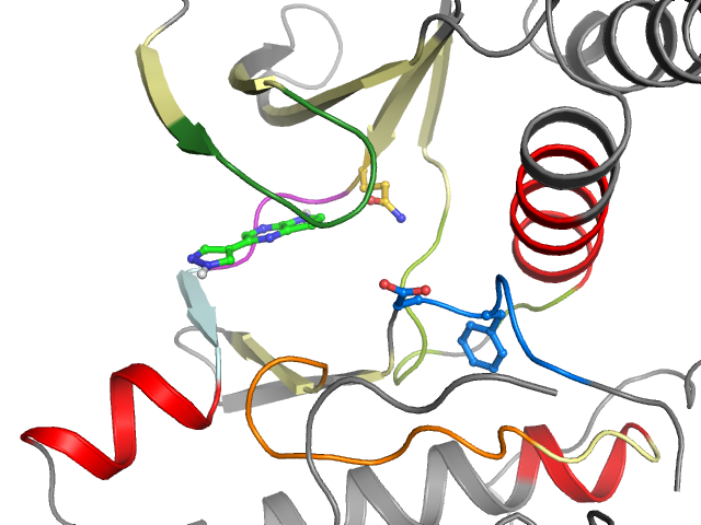The orthosteric binding pocket