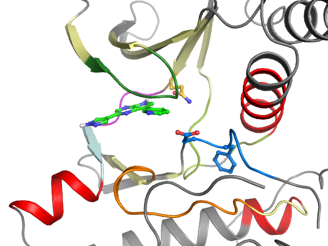 The orthosteric binding pocket