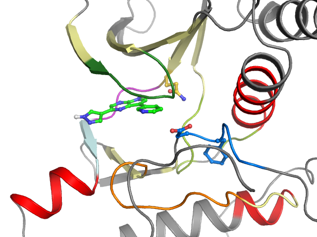 The orthosteric binding pocket