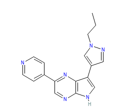 2D structure of the orthosteric ligand