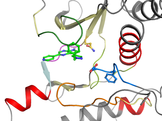 The orthosteric binding pocket