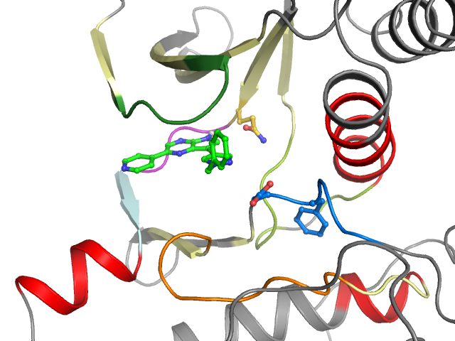 The orthosteric binding pocket
