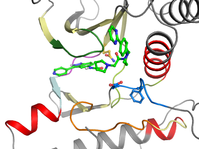 The orthosteric binding pocket