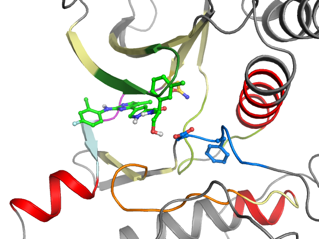 The orthosteric binding pocket