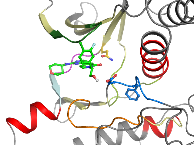 The orthosteric binding pocket