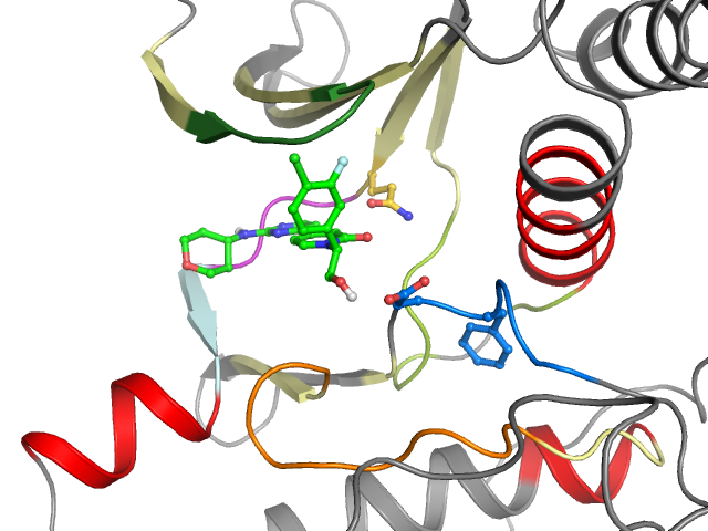 The orthosteric binding pocket