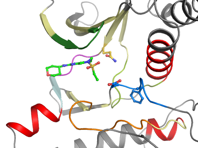 The orthosteric binding pocket