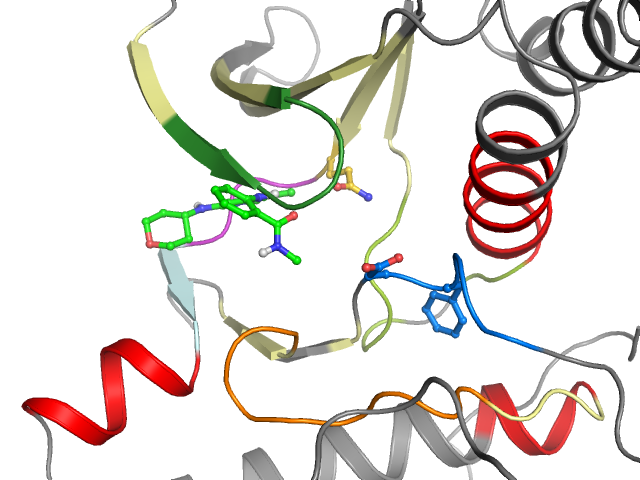 The orthosteric binding pocket